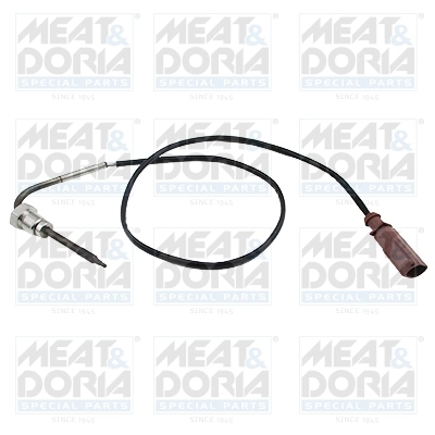 Sensor, exhaust gas temperature